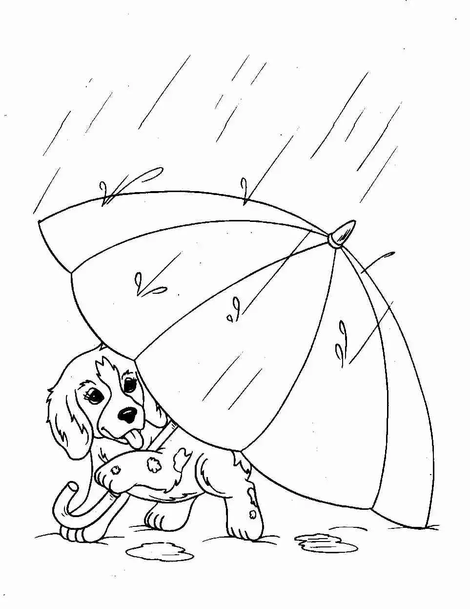 Раскраска Зайка с зонтиком