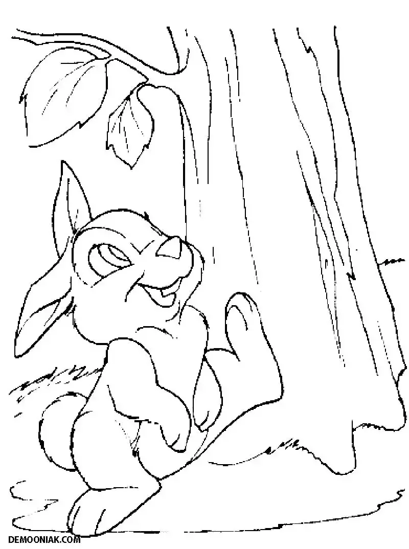 Заяц раскраска