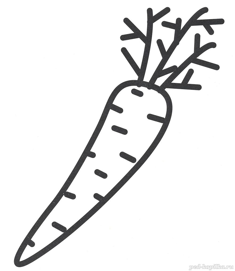 Раскраска для малышей 2 года морковь