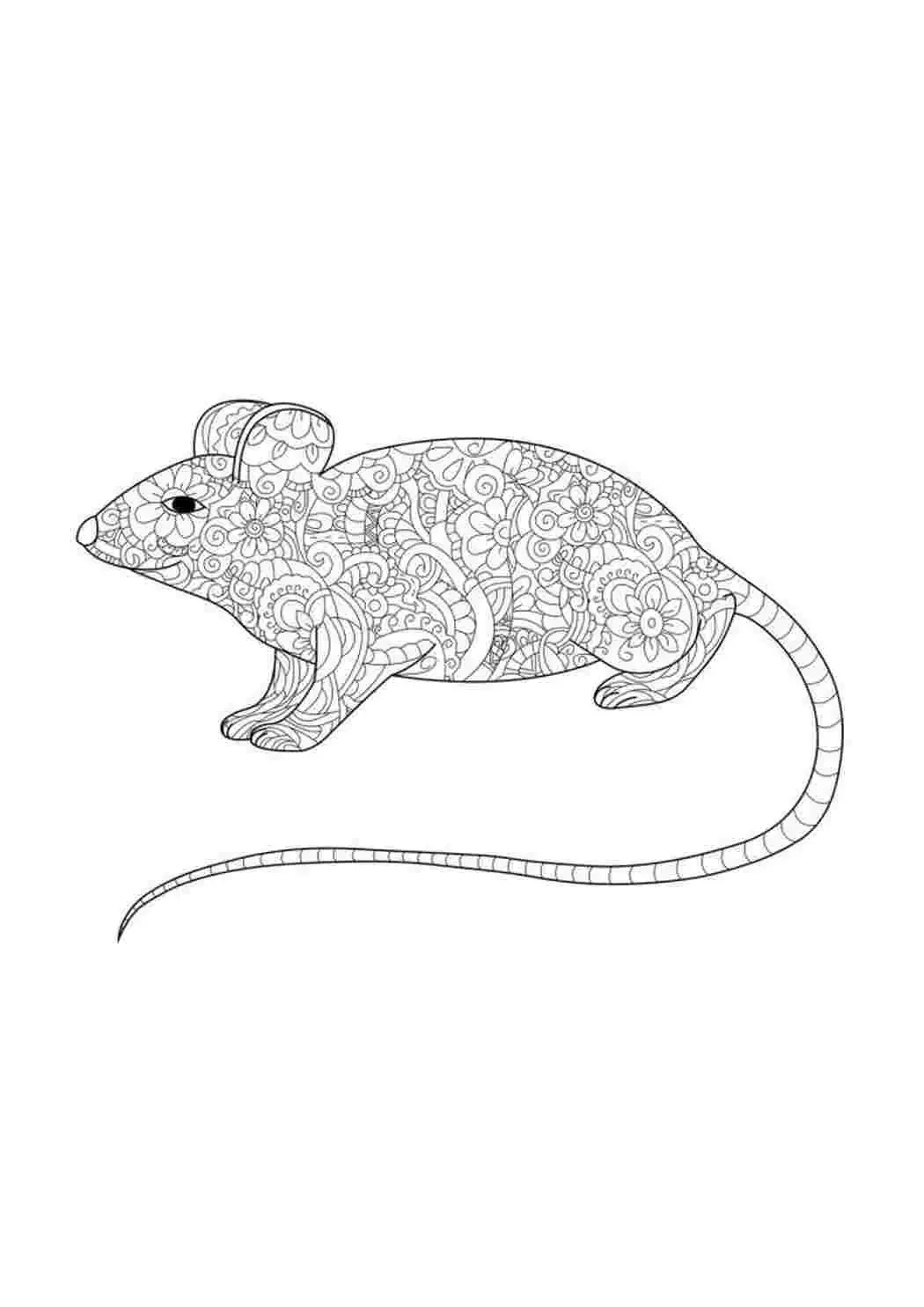 Раскраска антистресс крыса