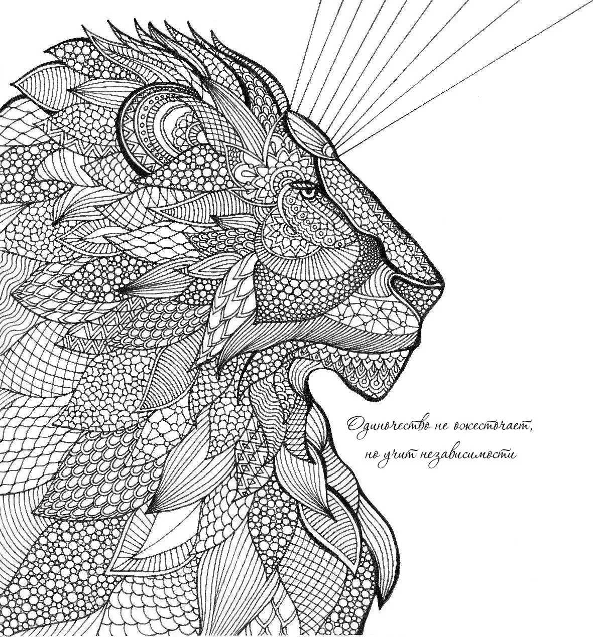 Раскраски сложные прикольные