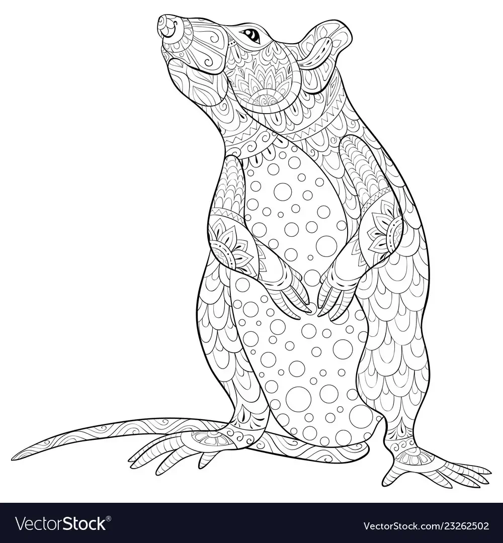 Раскраски для детей антистресс крыса