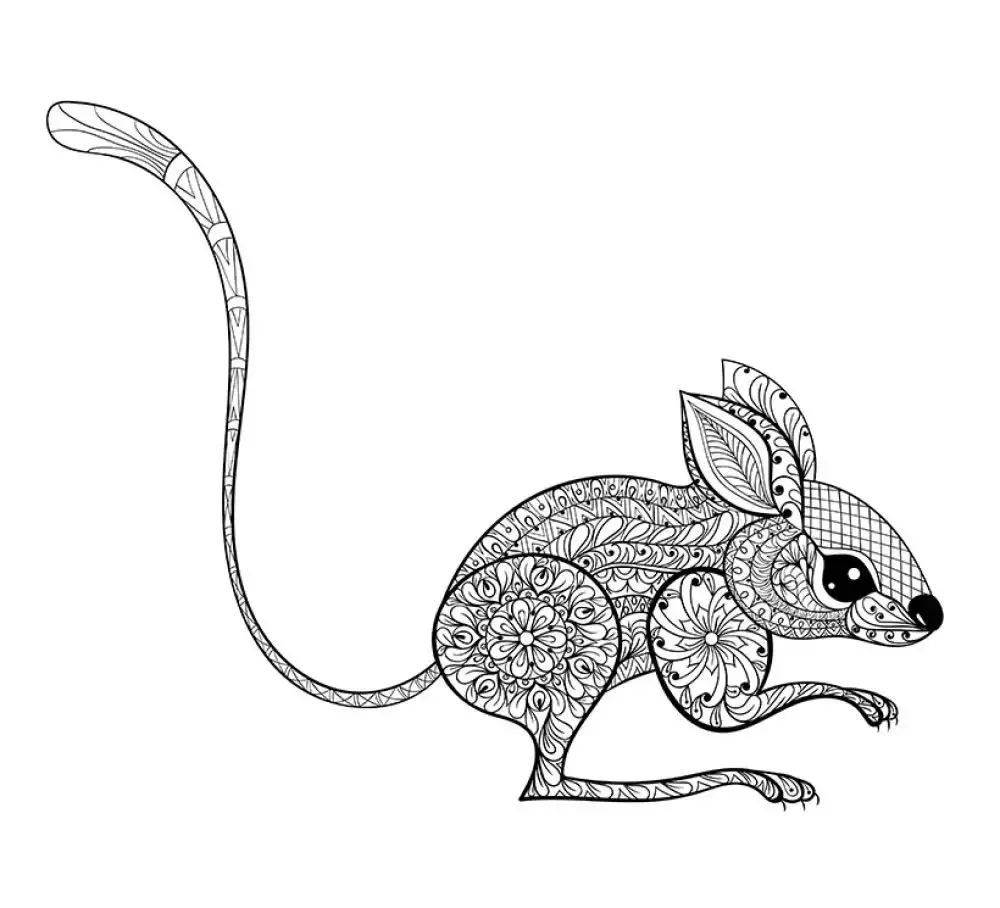 Раскраска для взрослых коала