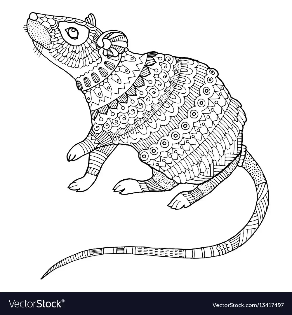 Раскраска антистресс крыса