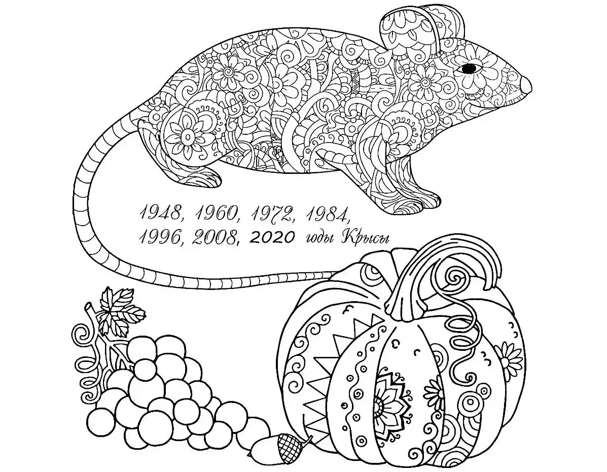 Раскраска антистресс крыса