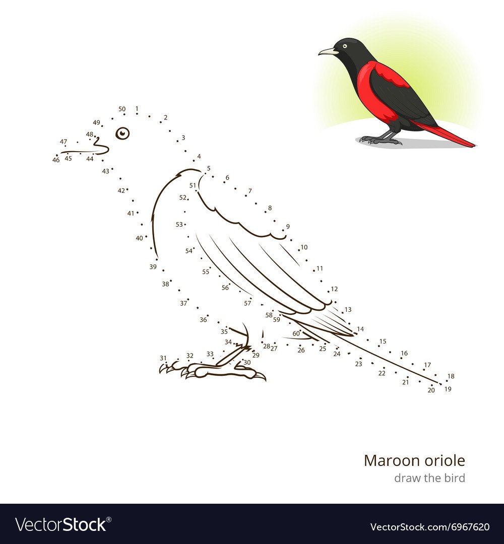 Математическая раскраска птицы