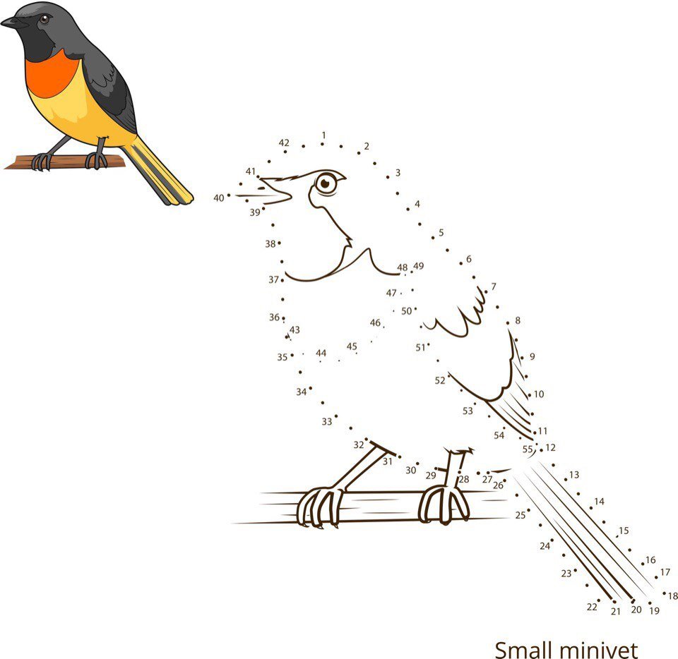 Раскраска по цифрам Пингвин