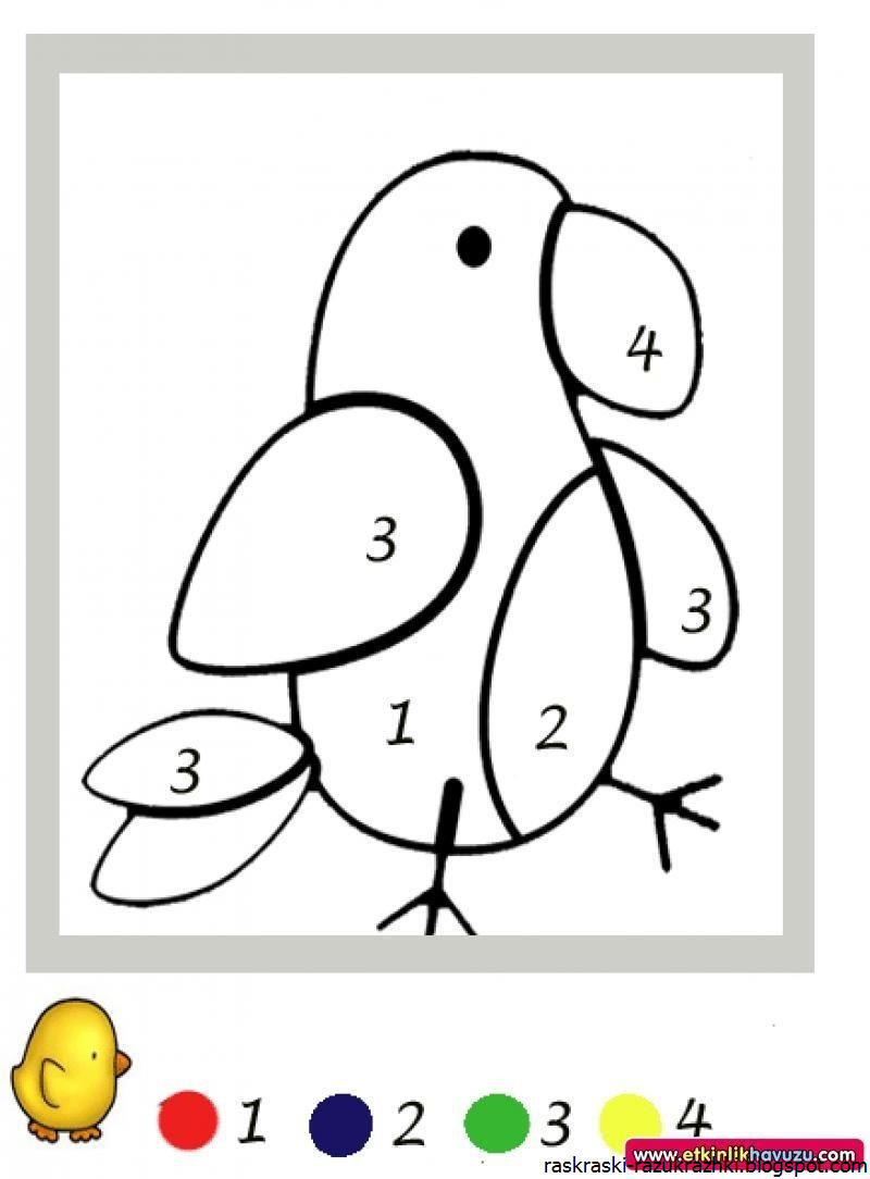 Раскраска по номерам