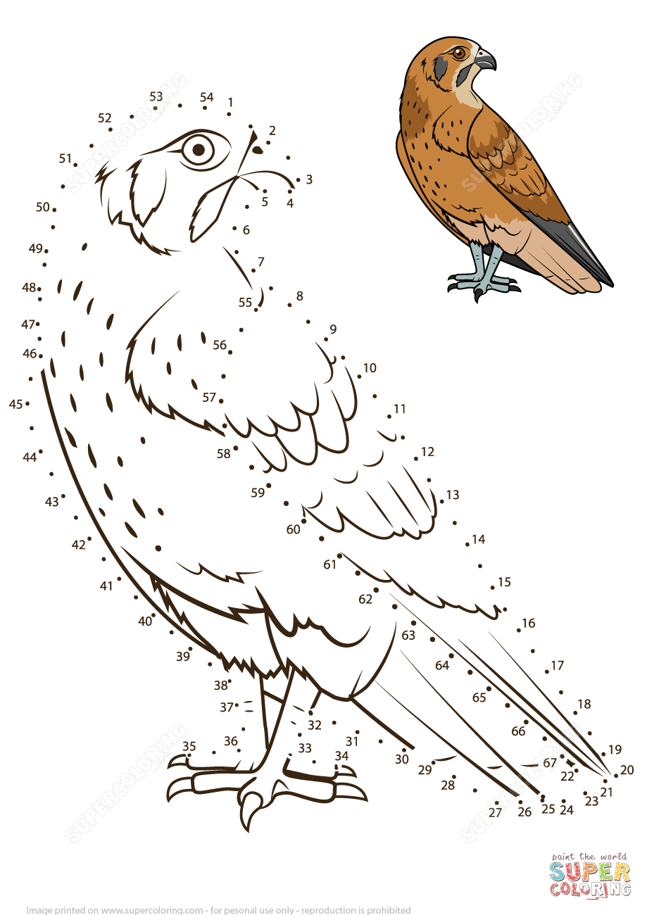 Раскраска по номерам для детей 4 лет