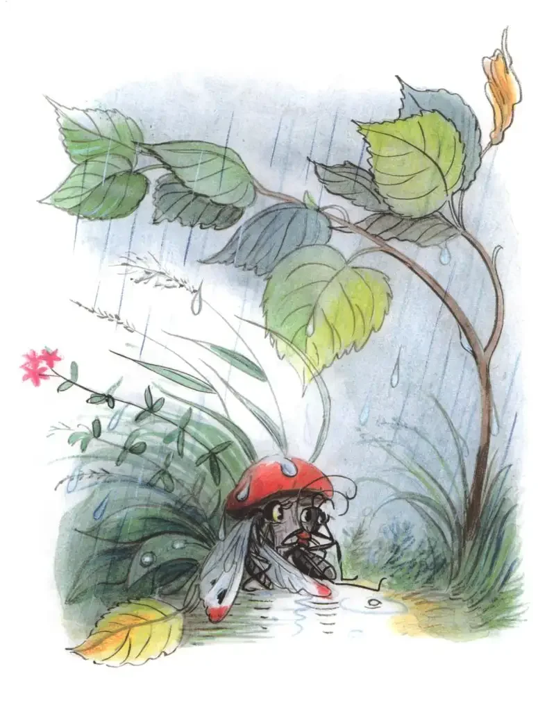 Сутеев, Владимир Григорьевич "под грибом"