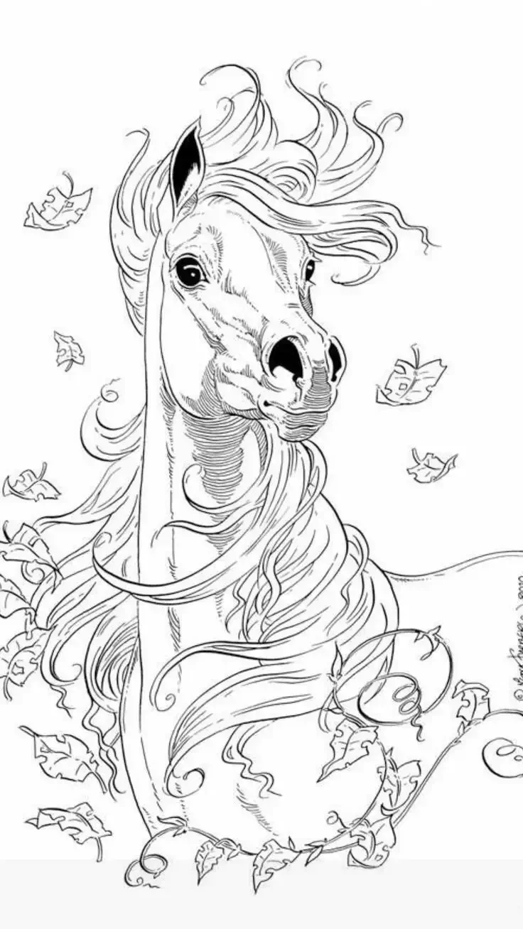 Раскраска лошади красивые