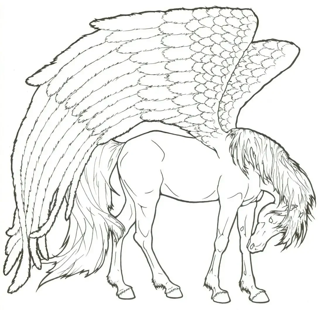 Раскраска лошадь с крыльями