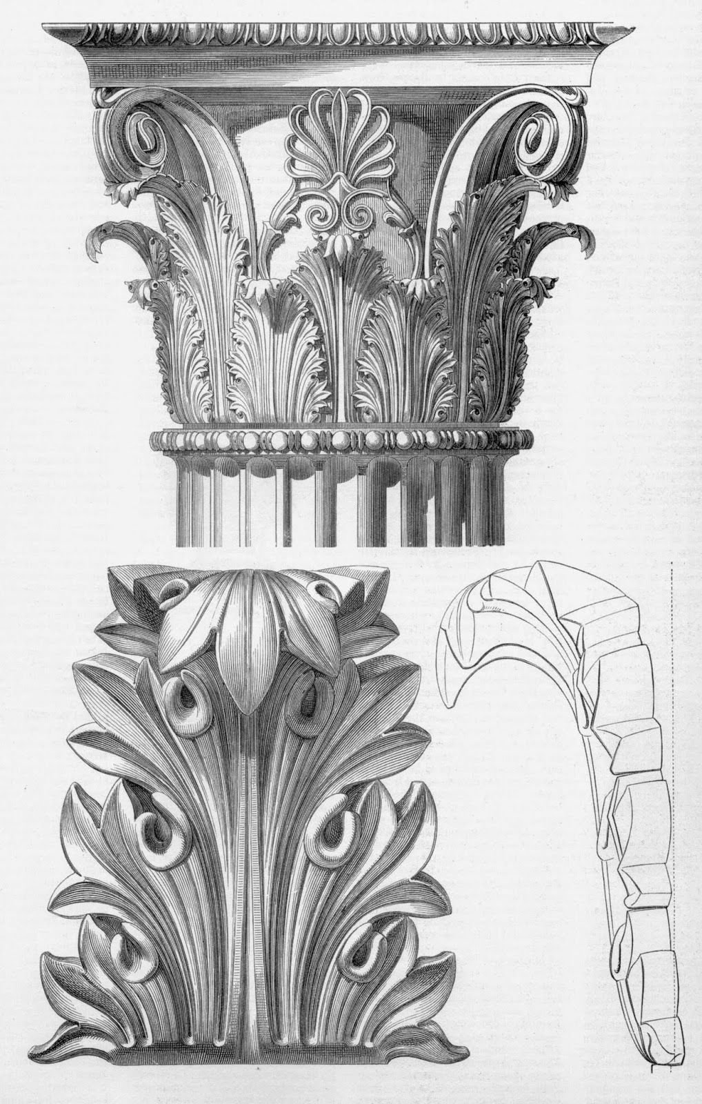 Акант Коринфский ордер