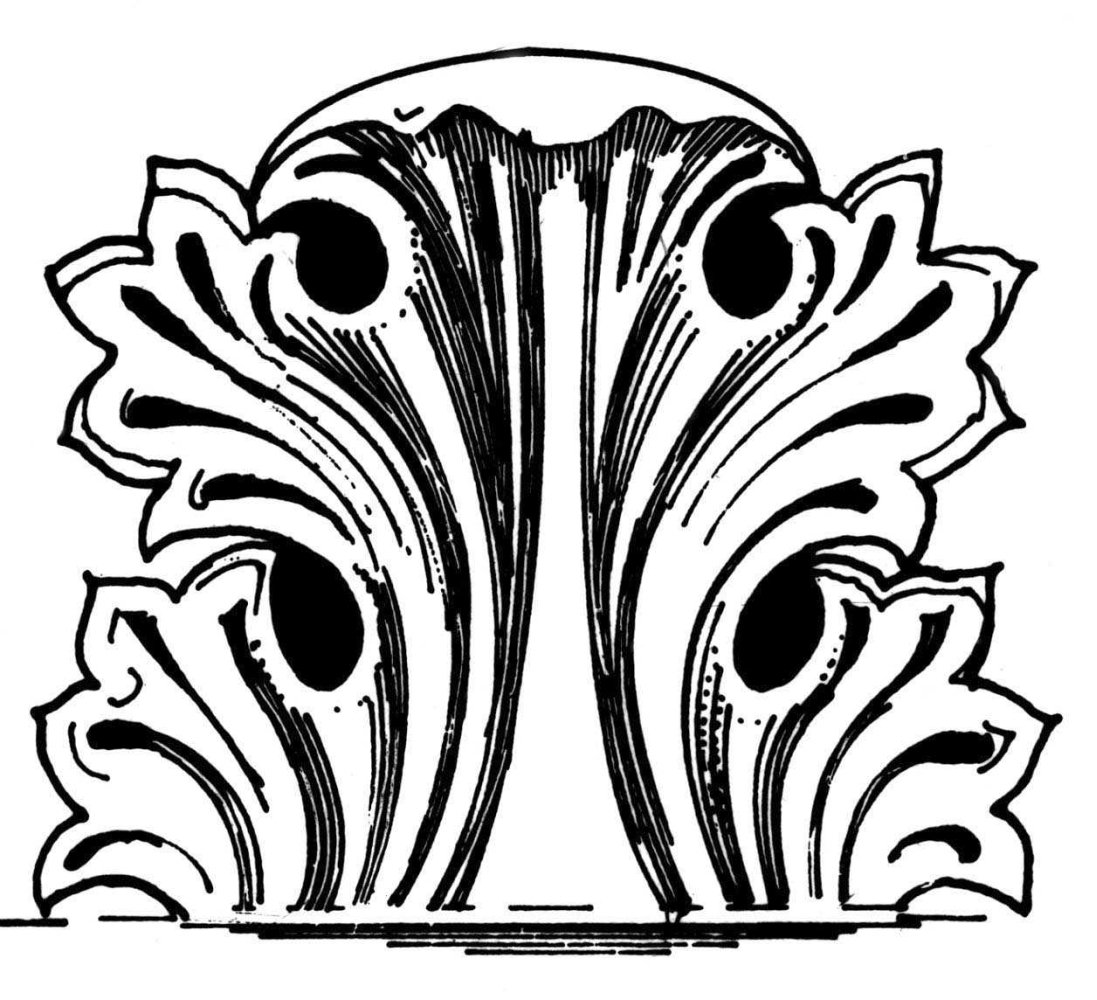 Акант аканф