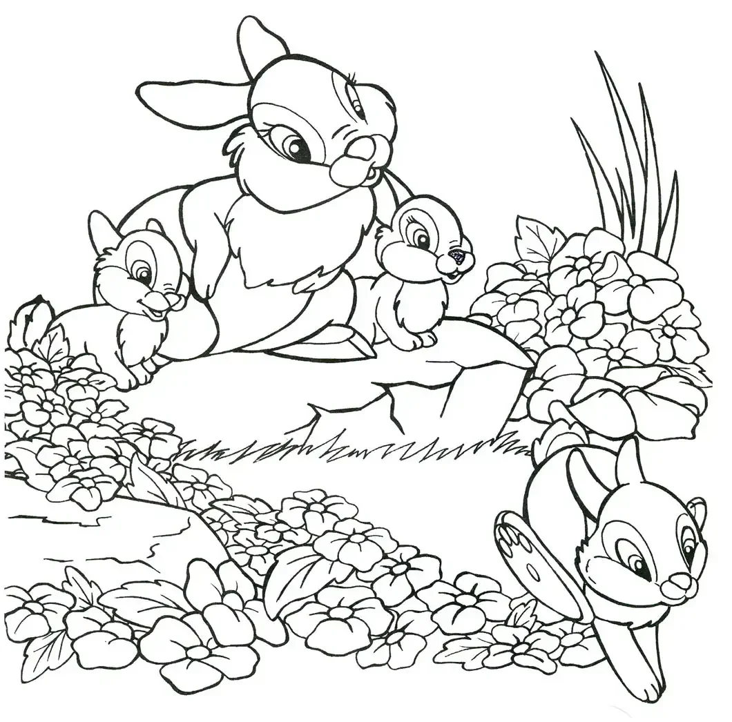 Заяц сбоку контур