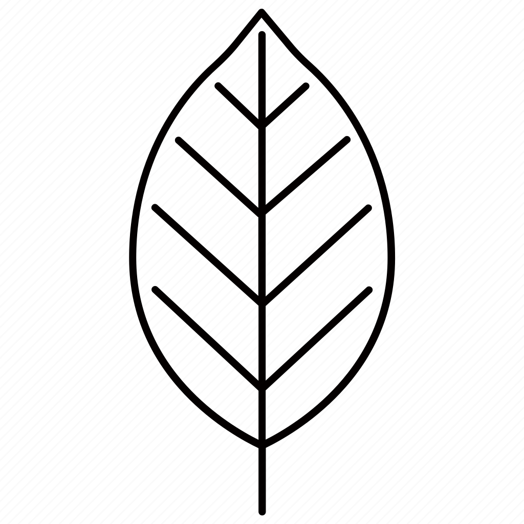 Листик черно белый