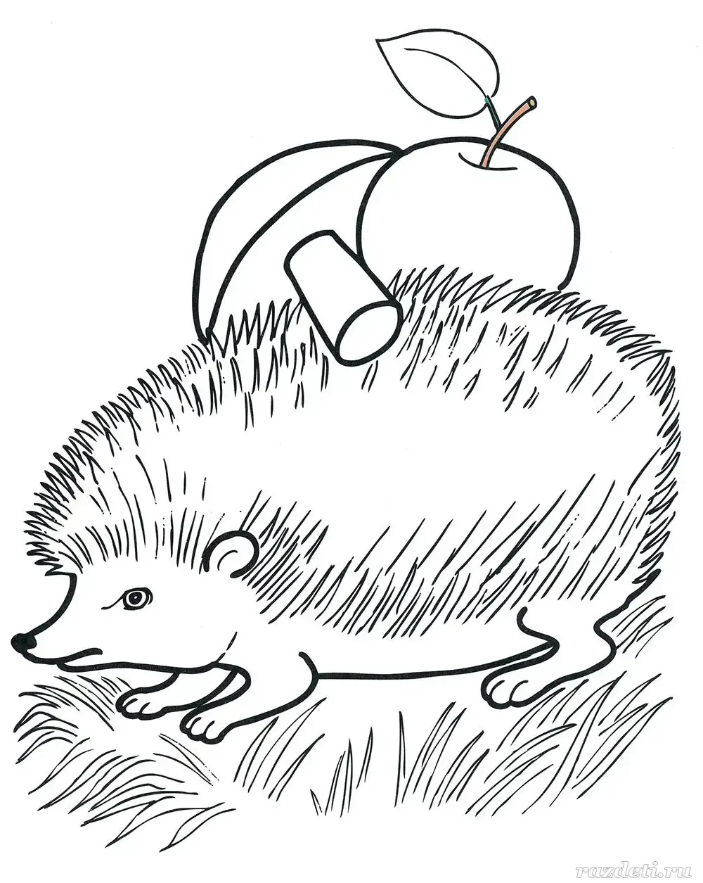Пришвин еж раскраска