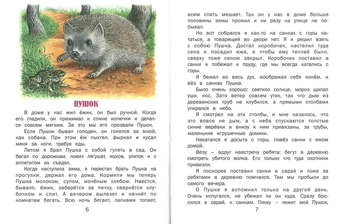 Рассказ Пушок г. а. г а Скребицкого