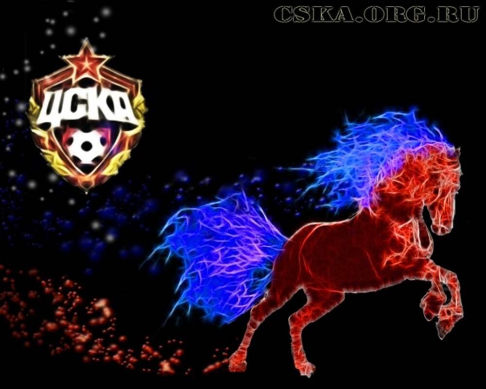 ПФК ЦСКА Москва кони