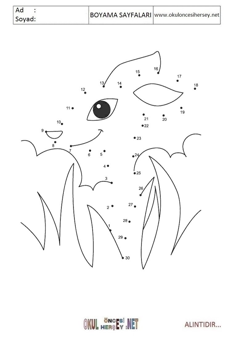 Тату лисы одной линией