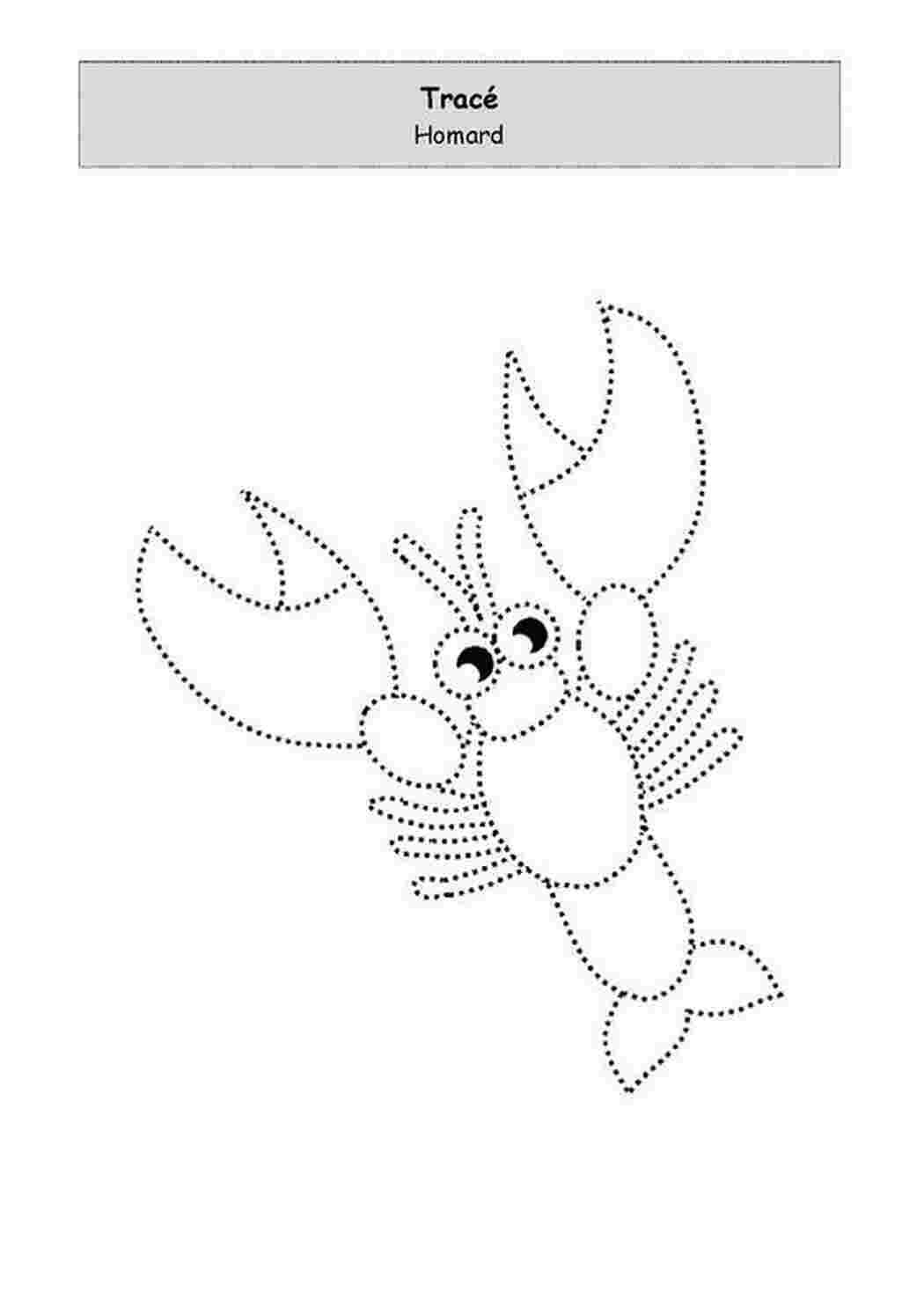 Раскраски прописи обводилки