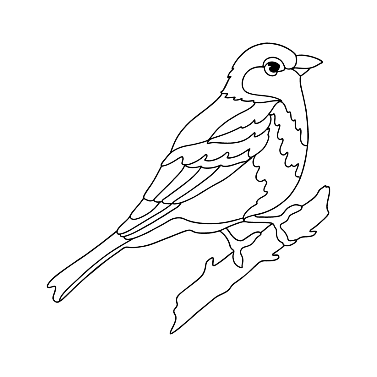 Канарейка раскраска