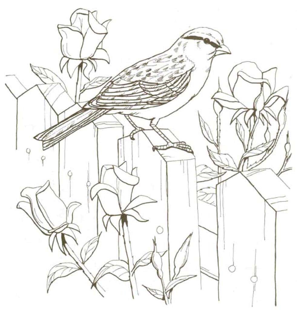 Воробей черно белый