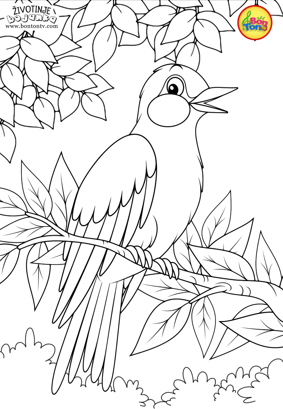 Весенние птицы раскраска