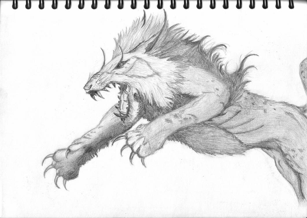 Медведь и человек раскраска