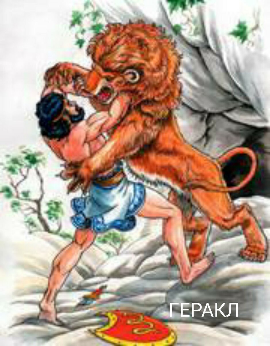 Химера раскраска