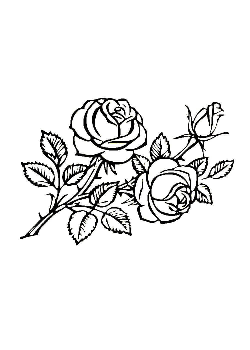 Цветок контуром роза сбоку