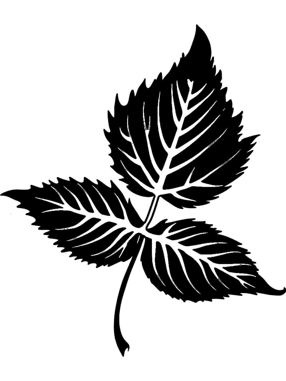 Веточка с листьями контур