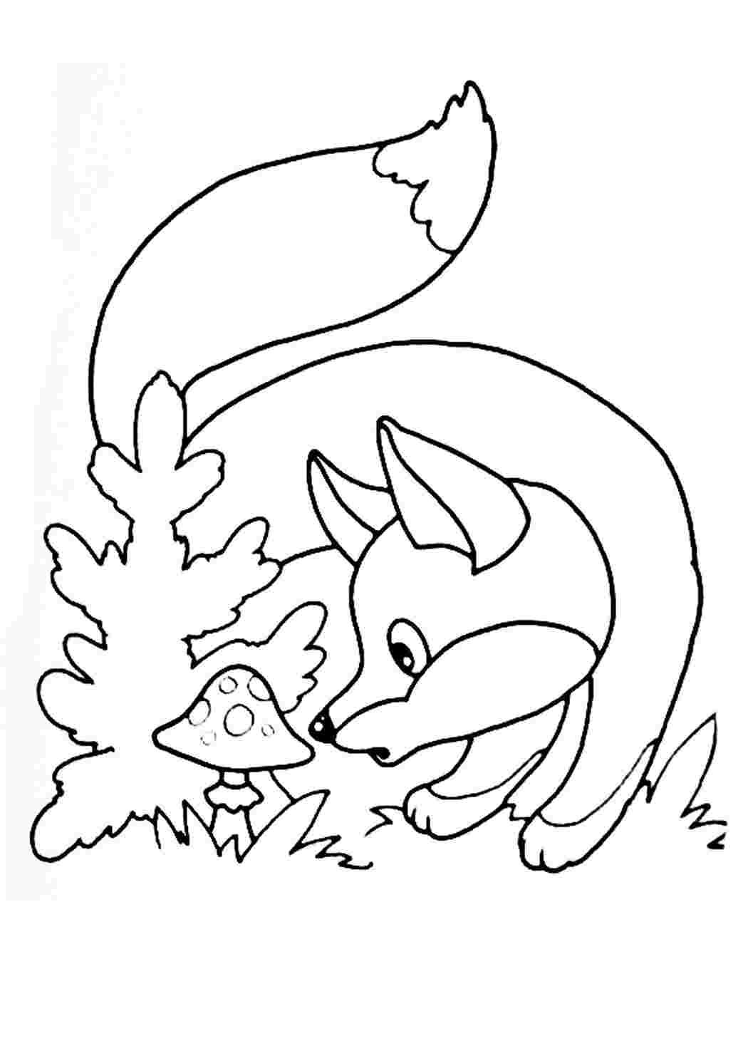 Кот петух и лиса раскраска
