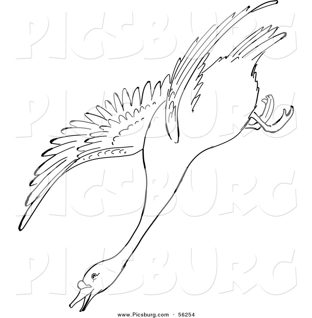 Лебедь в полете контур