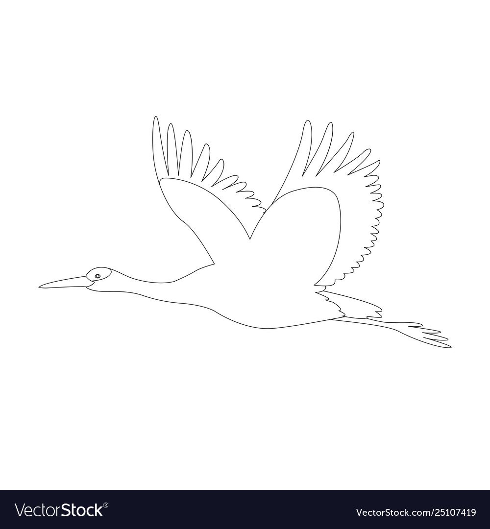 Эскиз Чайки в полете