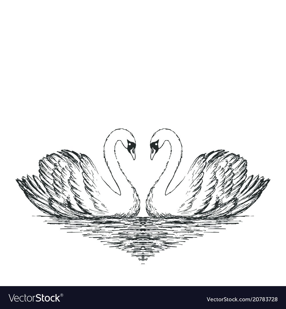 Выжигание по дереву лебеди