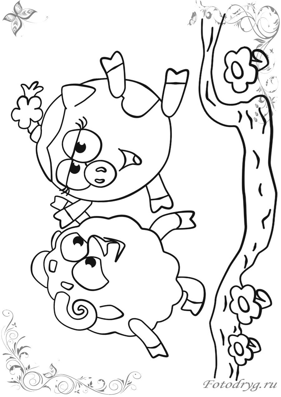 Бараш рисунок раскраска