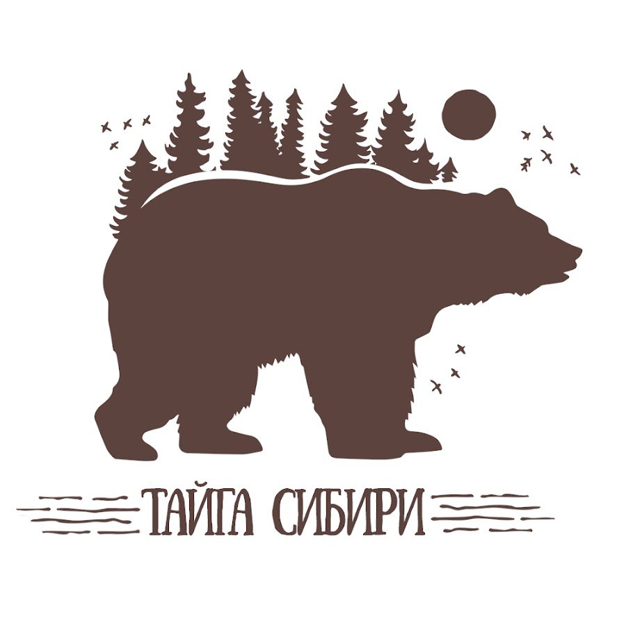 Силуэт медведя в лесу