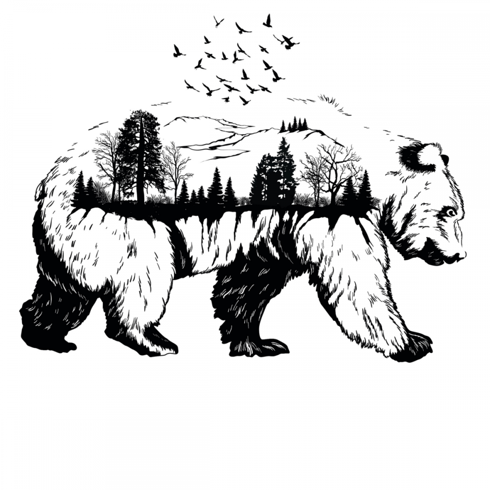 Медведь черно белая Графика