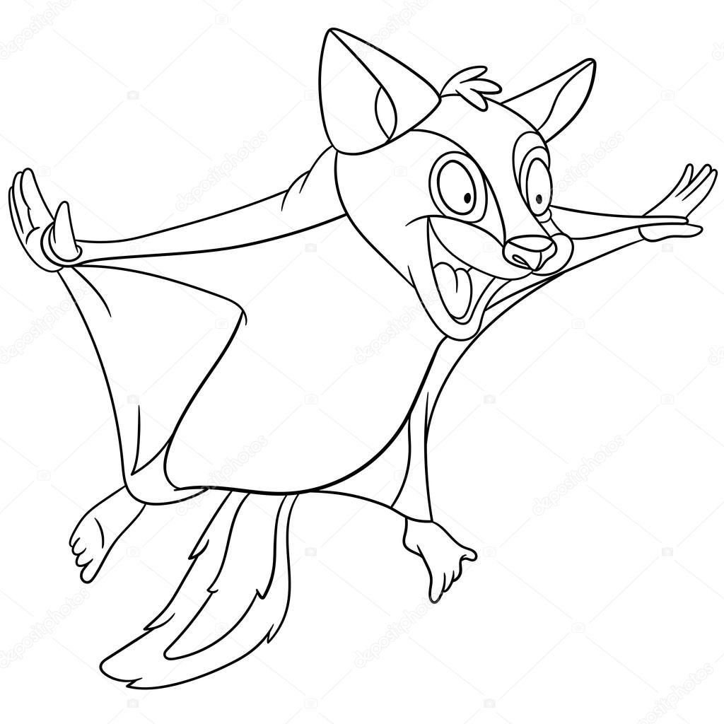Белка летяга раскраска для детей