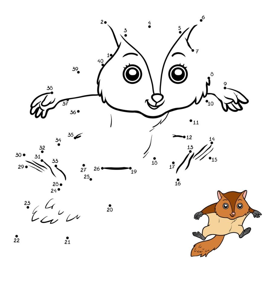 Белка-летяга силуэт вектор