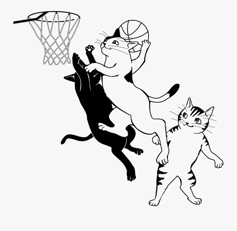 Раскраска кошка с мячиком