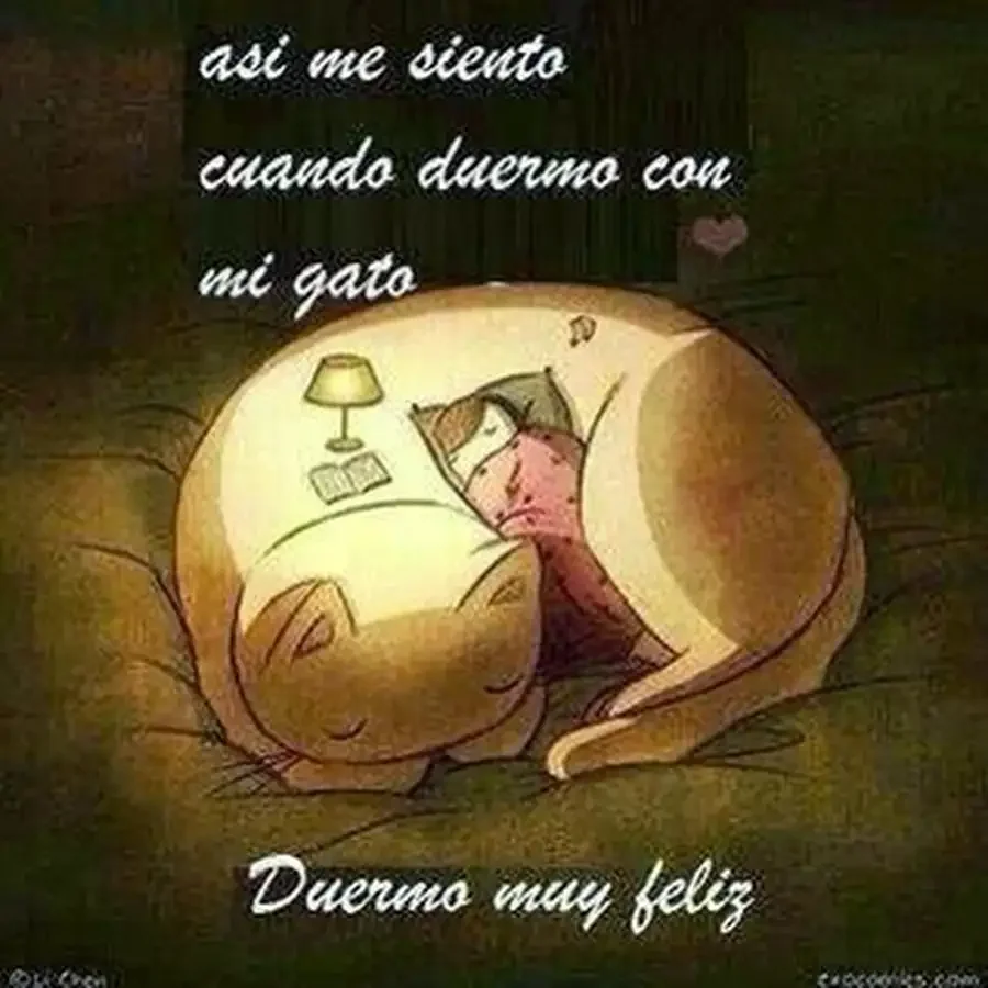 Кот спит арт