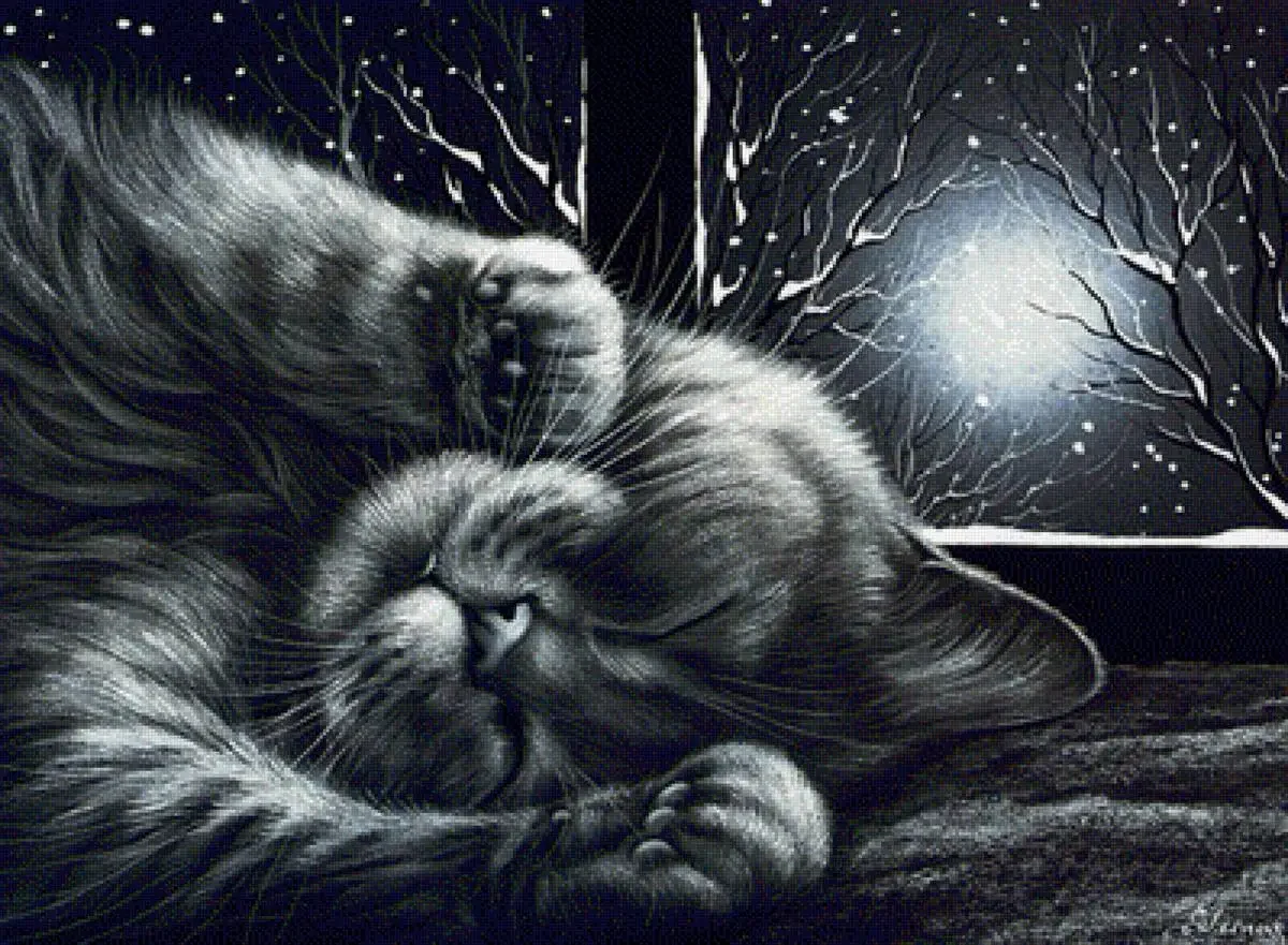 Спящий кот ночью
