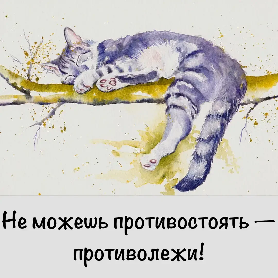 Коты акварелью