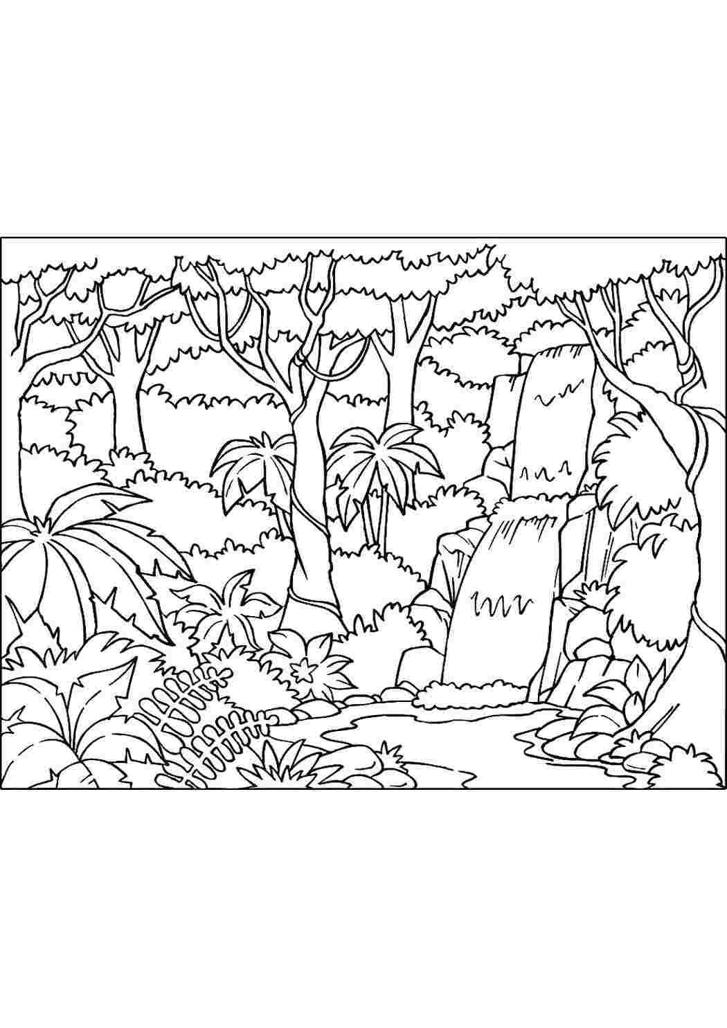 Раскраска джунгли для детей