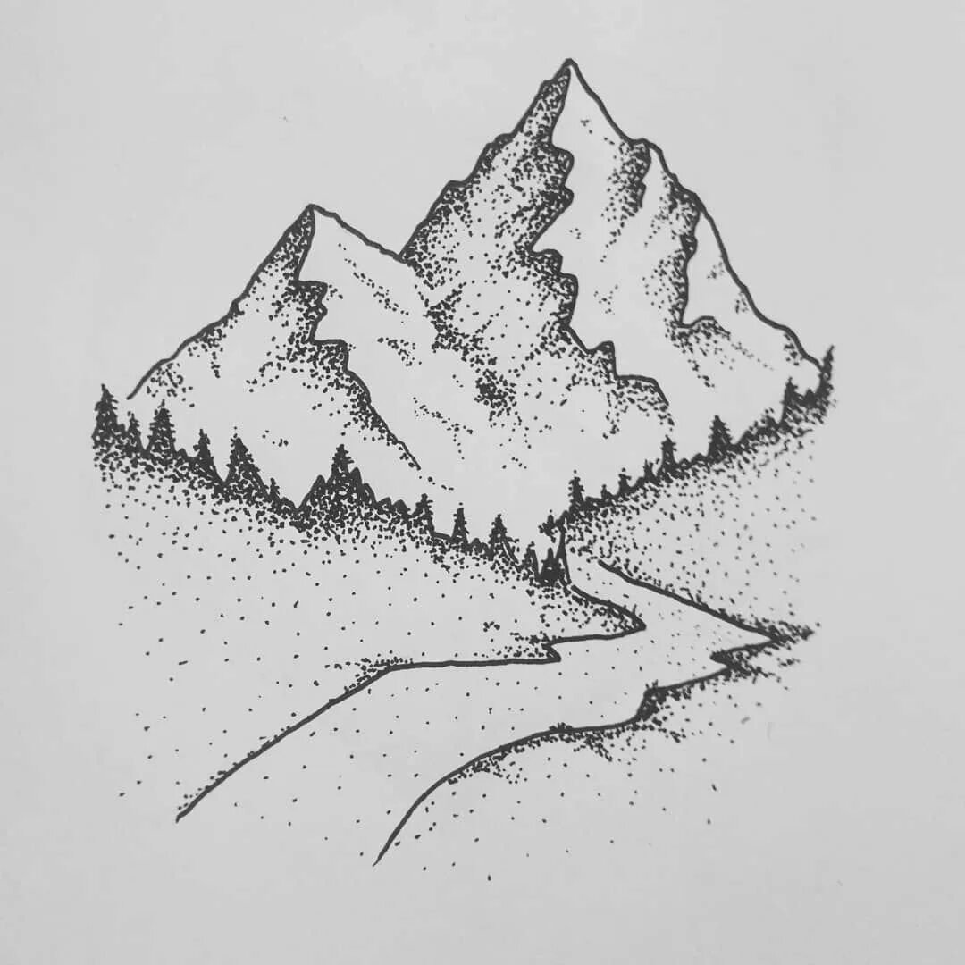 Дудлы кактусы и Суккуленты