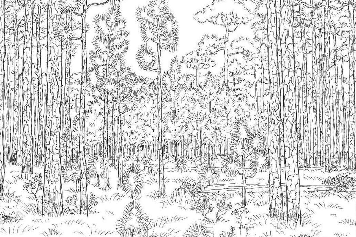 Гравировка горы