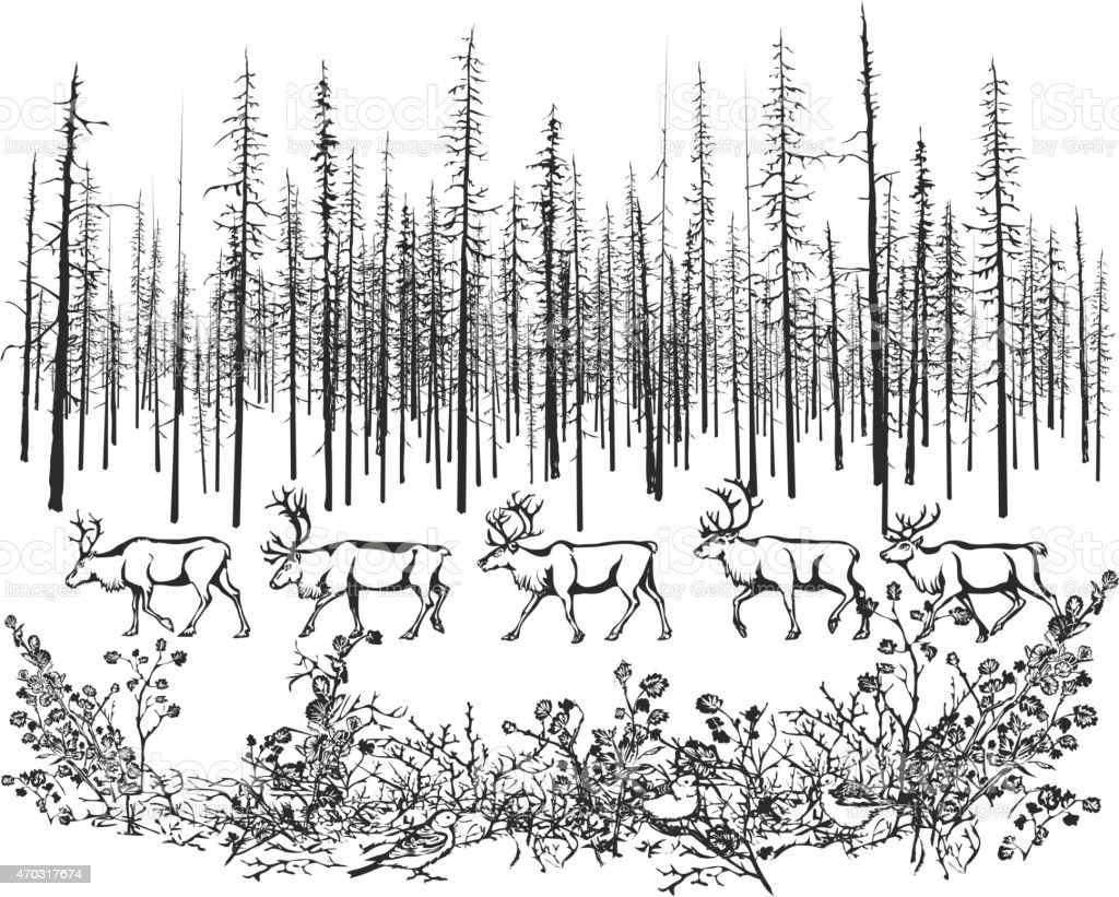 Горы Графика