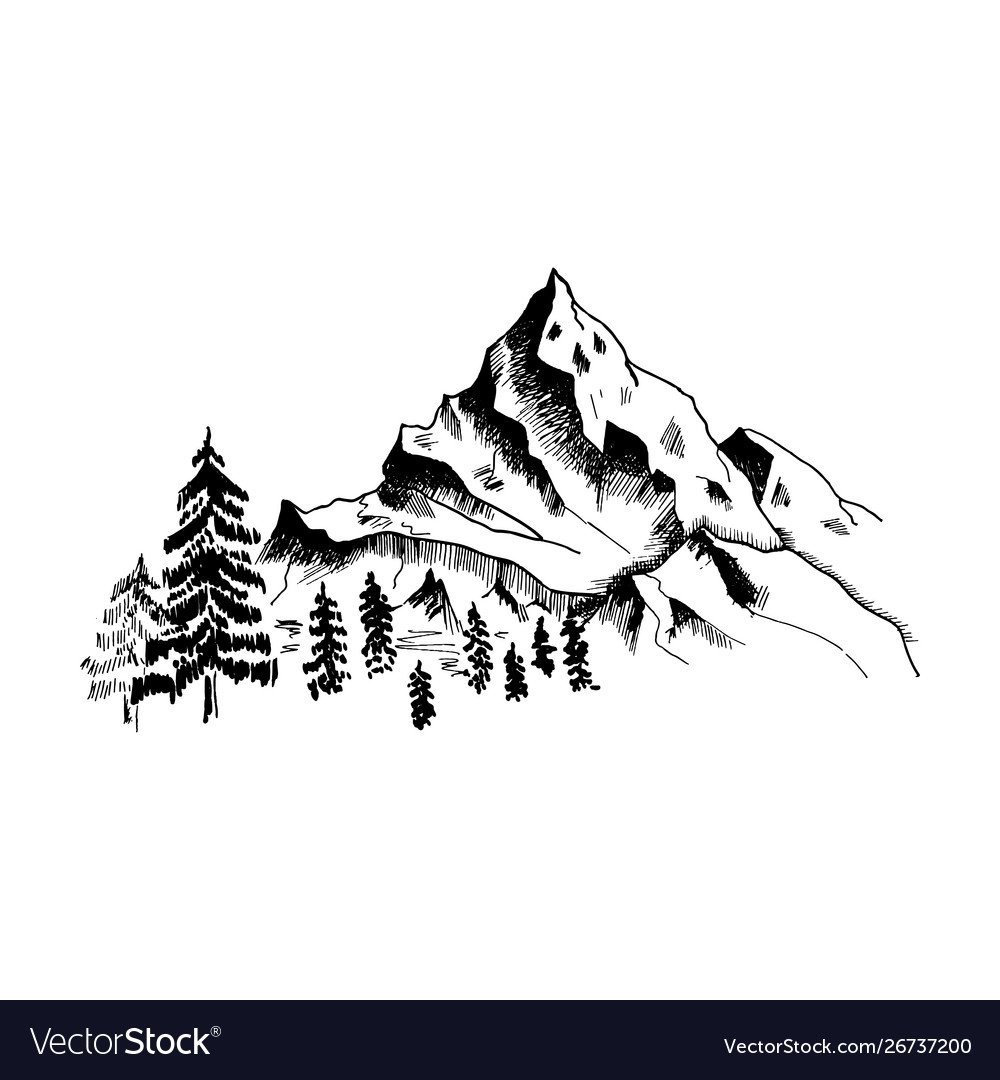 Векторный пейзаж чб